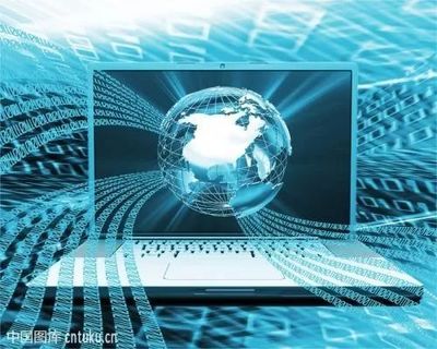 計(jì)算機(jī)信息技術(shù) 基礎(chǔ)知識(shí)與專業(yè)英語提升的得力助手